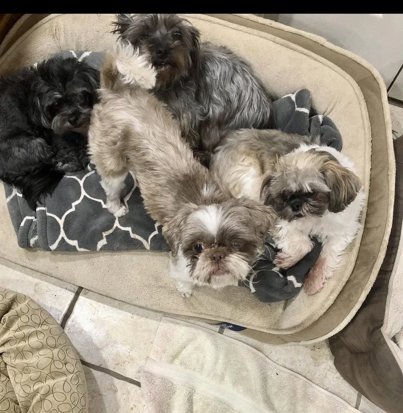 Annie Hadley thumbnail 2