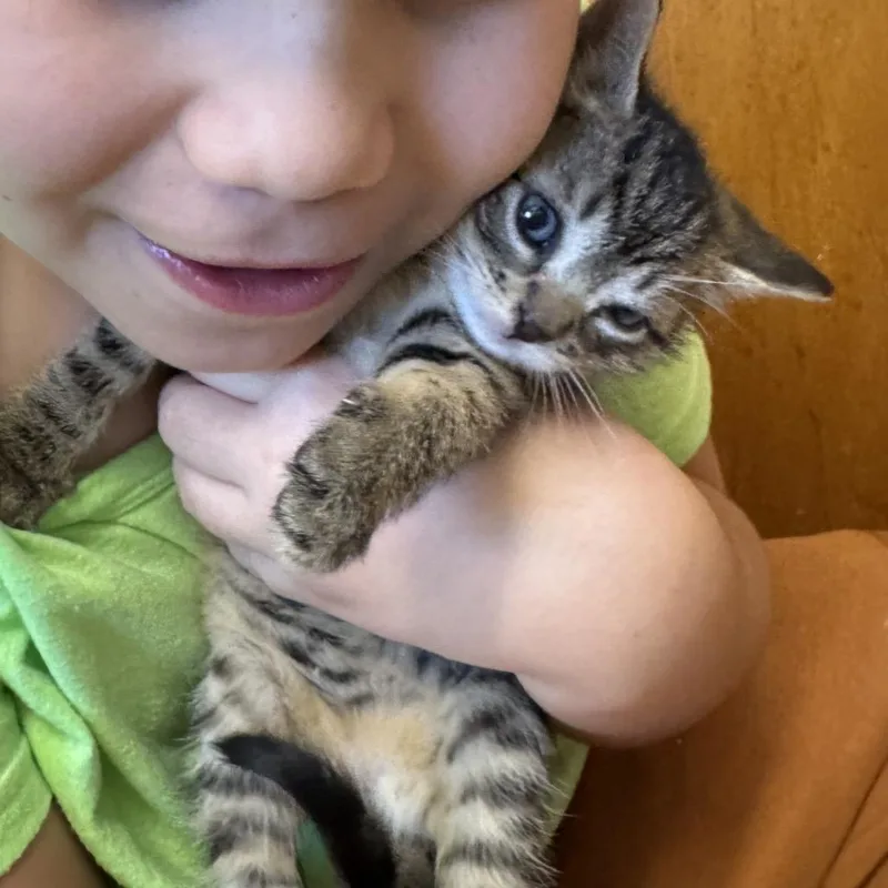 Chicken Dance thumbnail 3