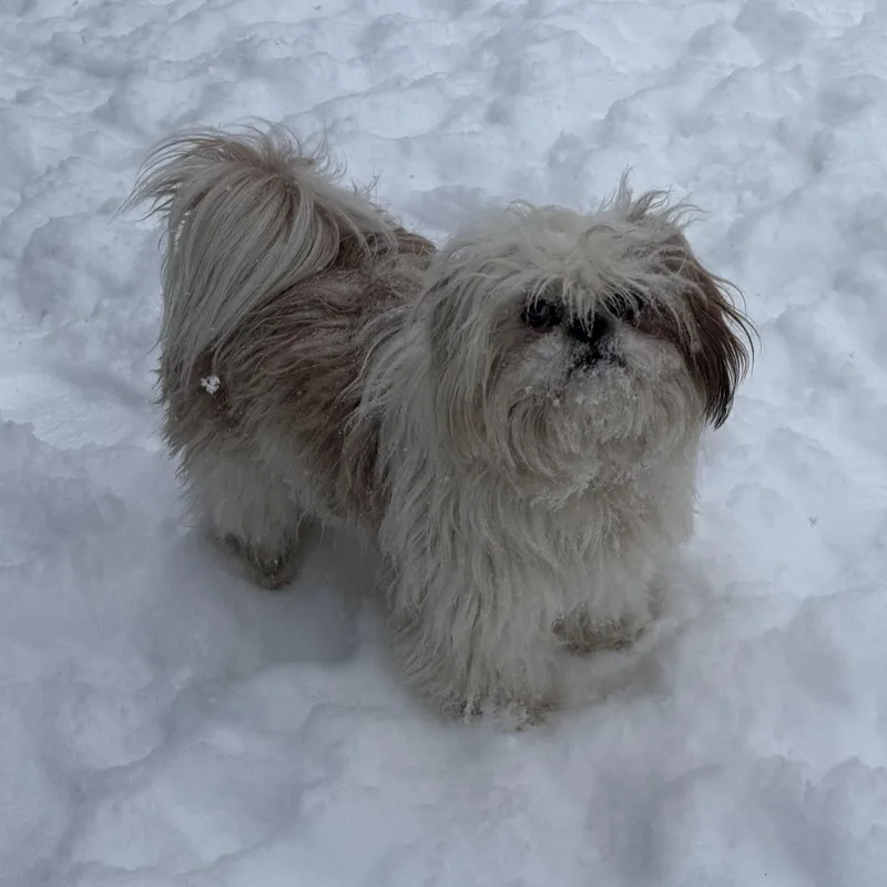 Lilly And Archie thumbnail 2