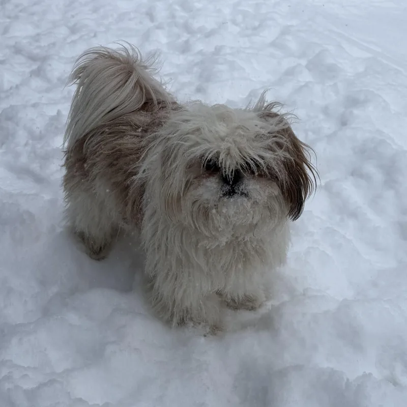 Lilly And Archie thumbnail 3