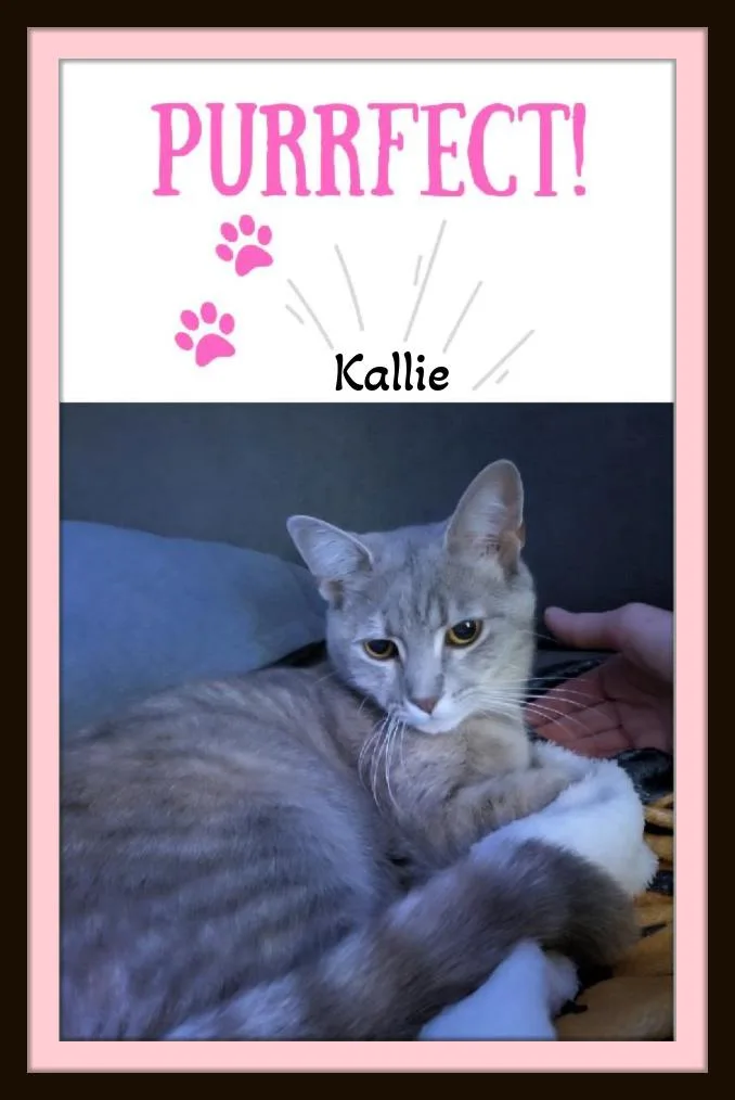 Kallie  She Doesn't thumbnail 2