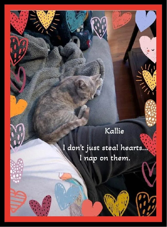 Kallie  She Doesn't thumbnail 3