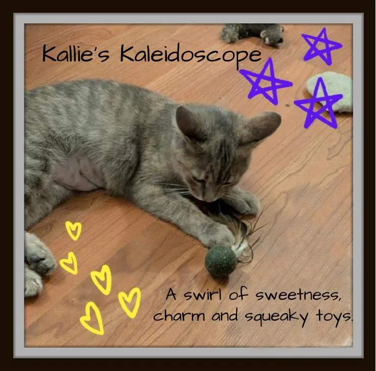 Kallie  She Doesn't thumbnail 4