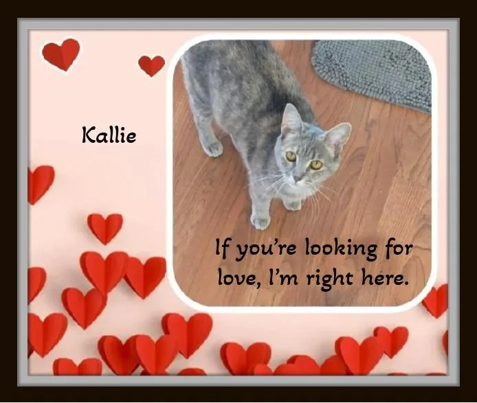 Kallie  She Doesn't thumbnail 6