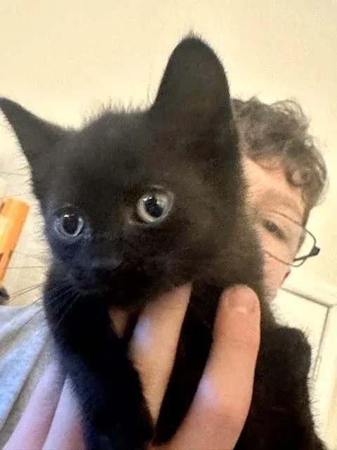 Hershey thumbnail 3