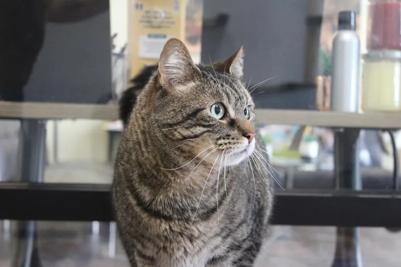 Randall Boggs thumbnail 2