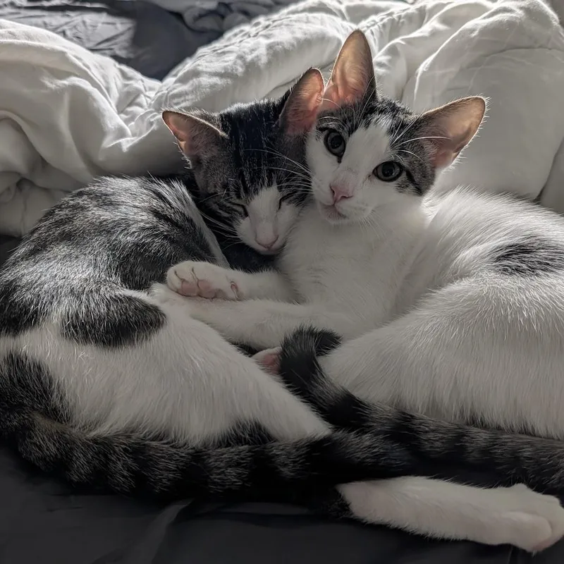 Tucker & Baby Mia thumbnail 2