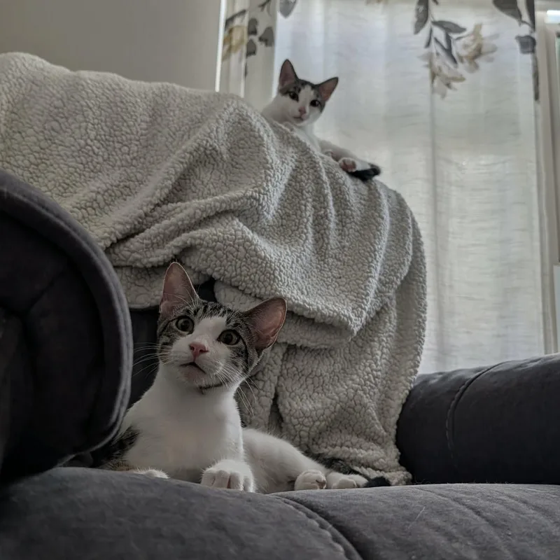 Tucker & Baby Mia thumbnail 4