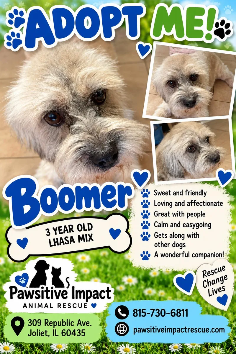 Boomer thumbnail 2