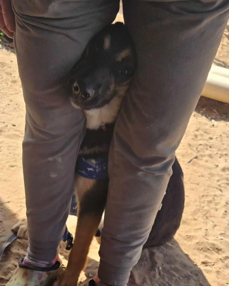 Easton   $ thumbnail 2