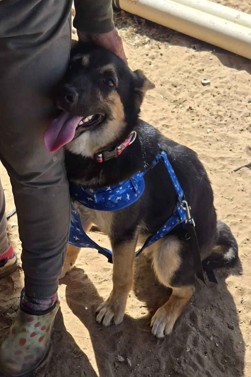 Easton   $ thumbnail 3