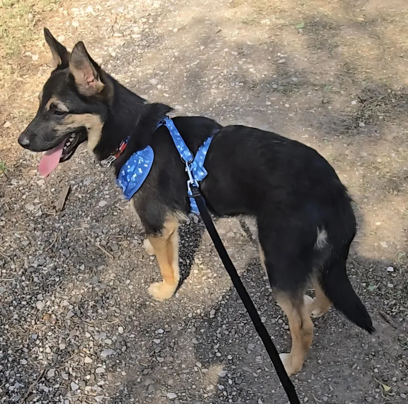 Easton   $ thumbnail 4