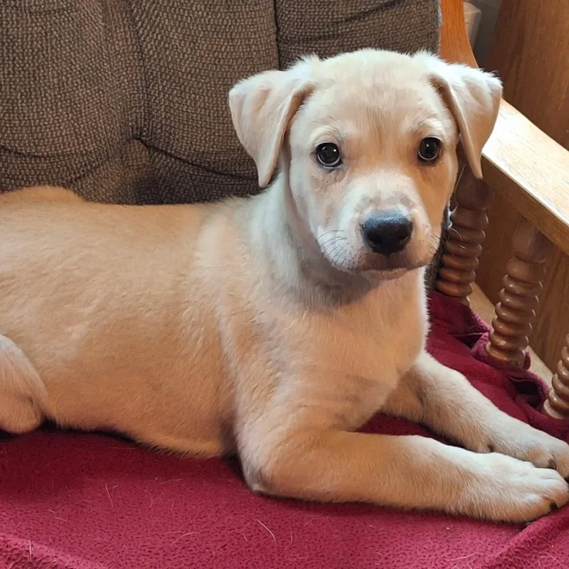 Michael Jackson thumbnail 2