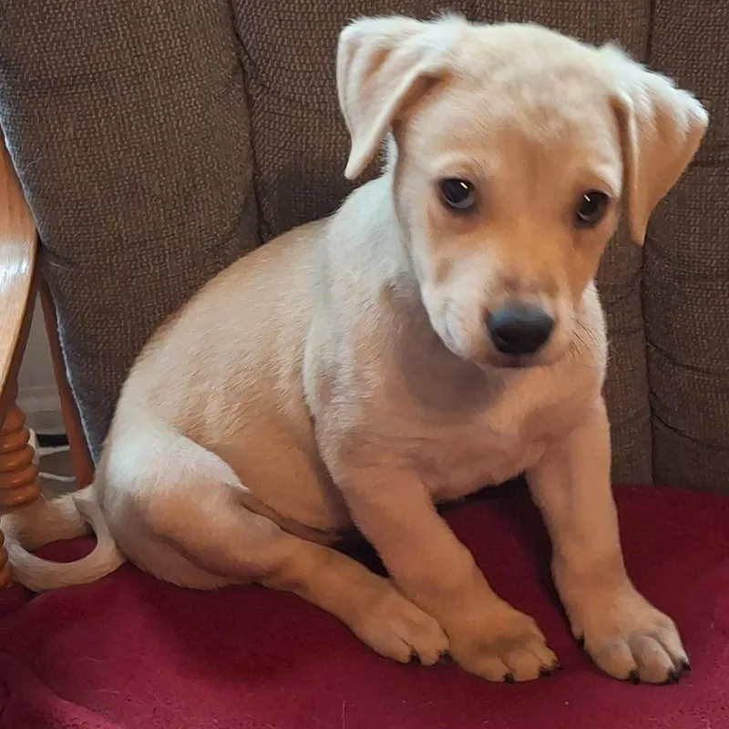 Michael Jackson thumbnail 3