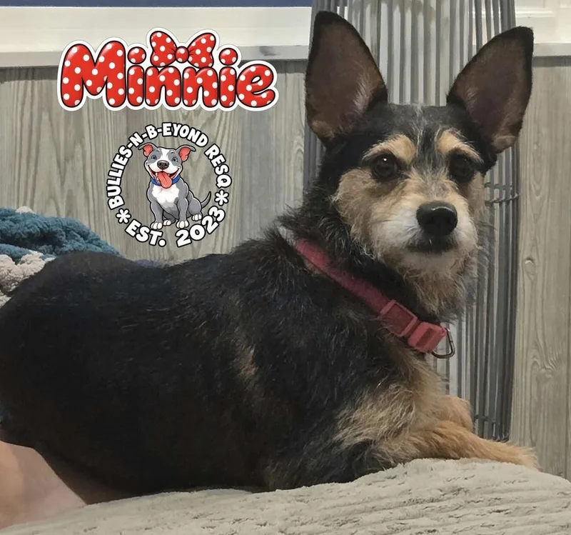 Minnie thumbnail 2