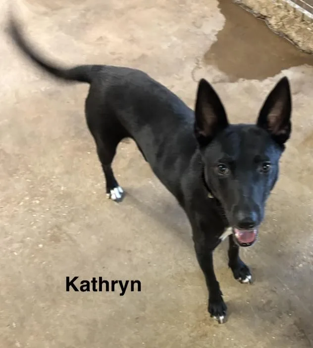 Kathryn thumbnail 3