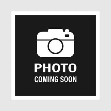 A baby small-sized male White Domestic Medium Hair cat named Dongle for adoption in Jasper, IN