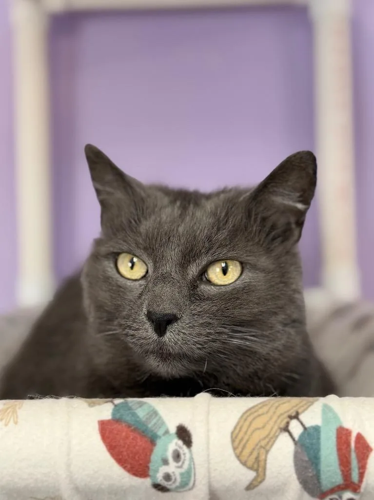 Jessie Bonded With Max