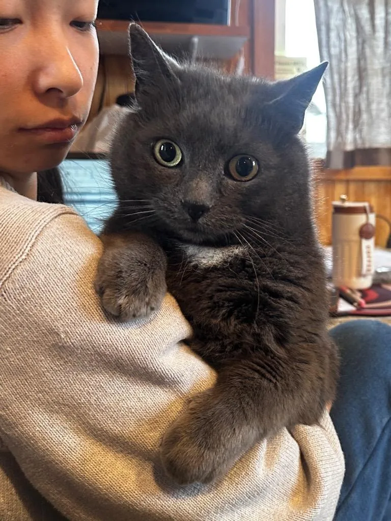 Jessie Bonded With Max thumbnail 2