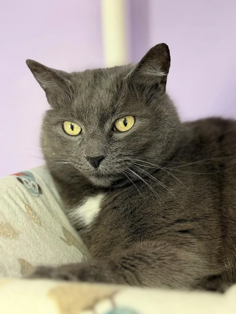 Jessie Bonded With Max thumbnail 3