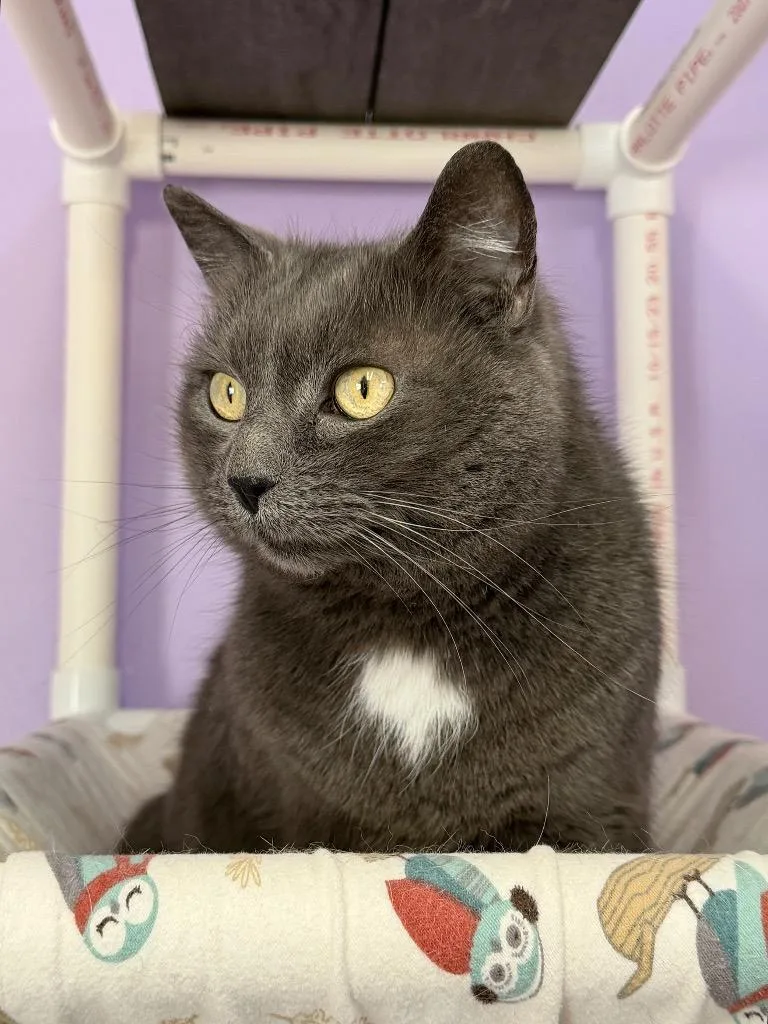 Jessie Bonded With Max thumbnail 4