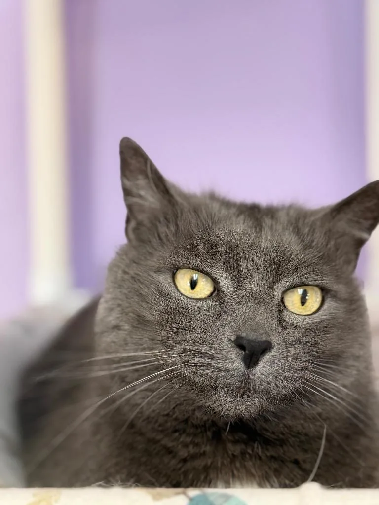 Jessie Bonded With Max thumbnail 5