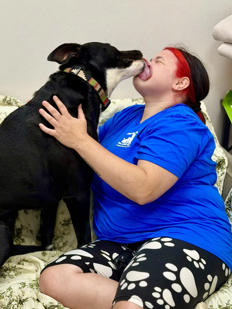 Sadie thumbnail 2
