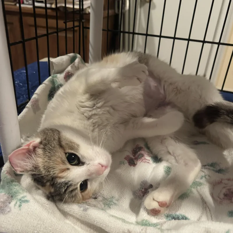 Mama Earth thumbnail 2