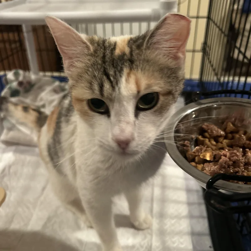 Mama Earth thumbnail 5