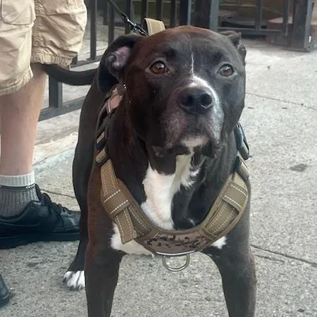 Babyjojo thumbnail 6