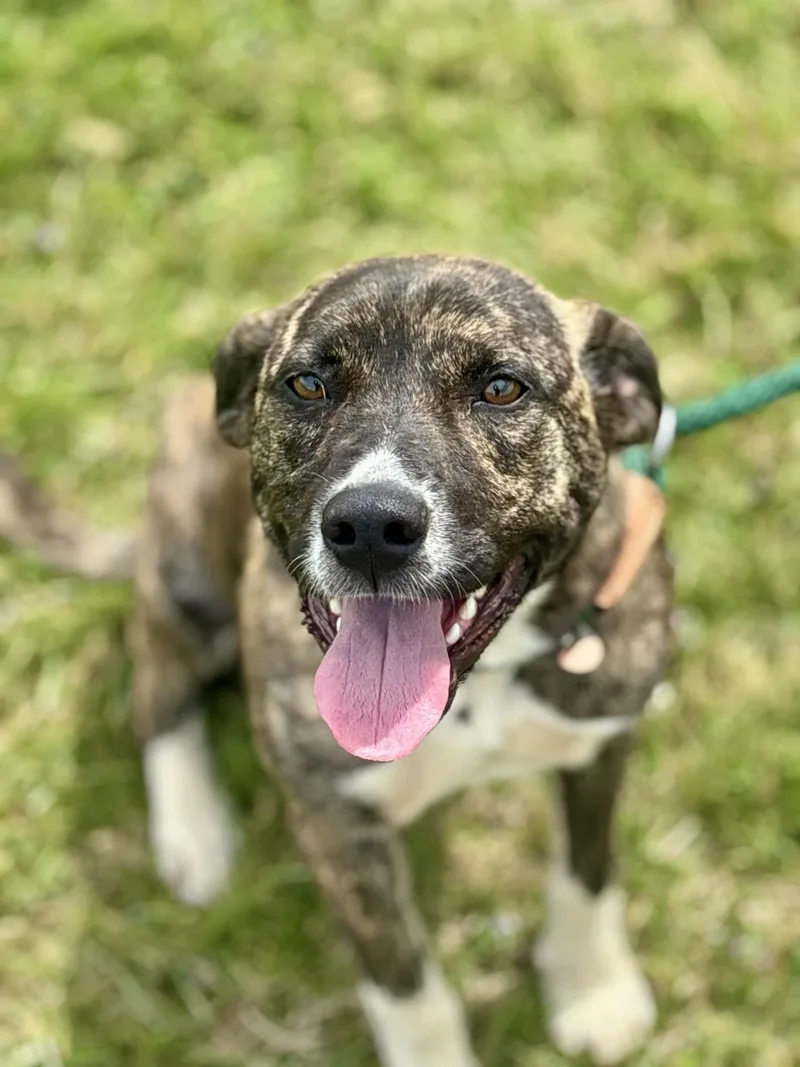 Macy Mae thumbnail 3