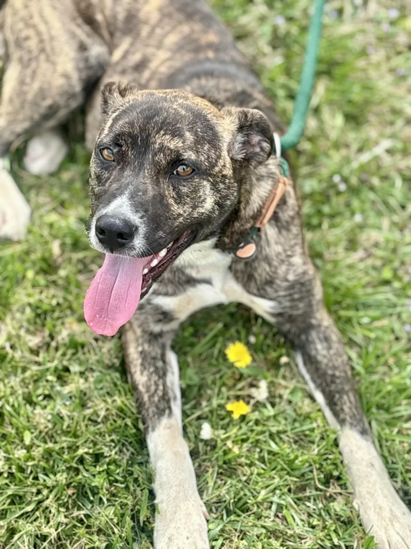 Macy Mae thumbnail 4