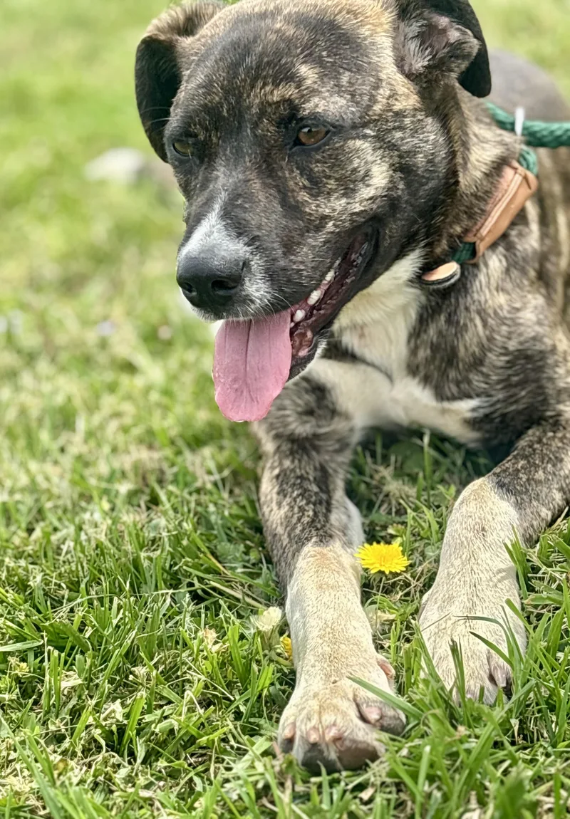 Macy Mae thumbnail 5