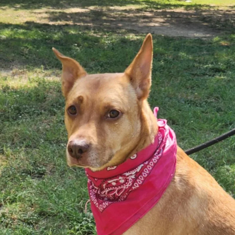 Island Luna Jum thumbnail 3