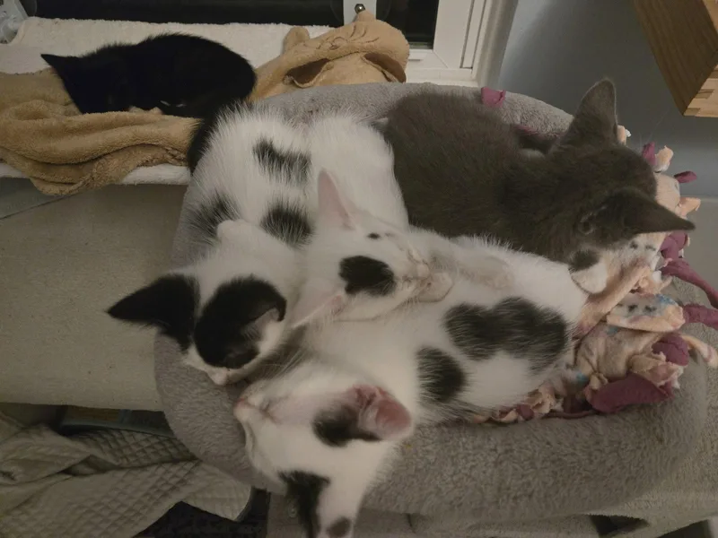 Agnes & Rosie thumbnail 2