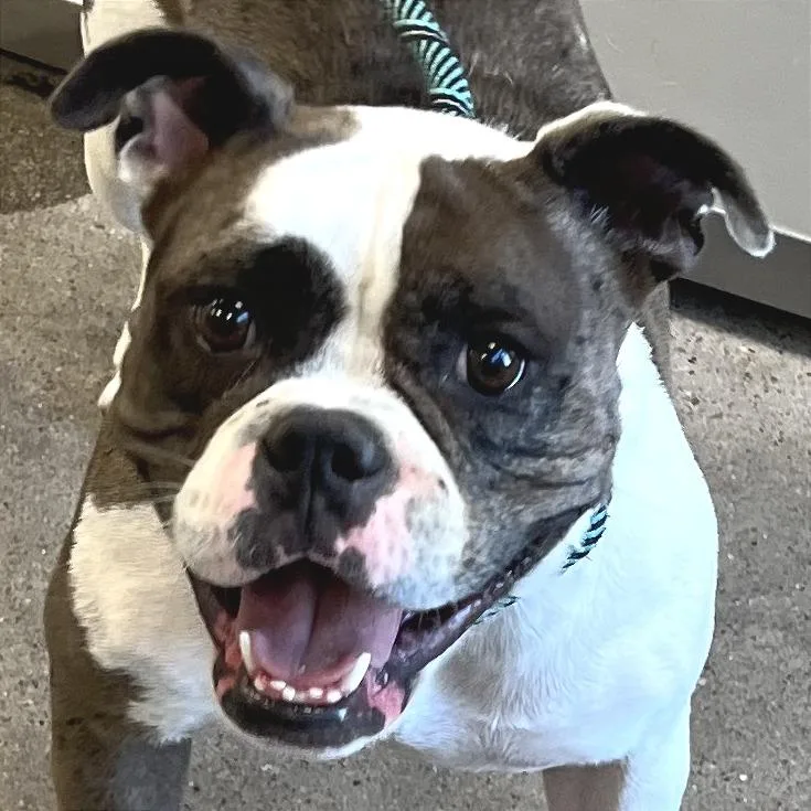 Lola thumbnail 2
