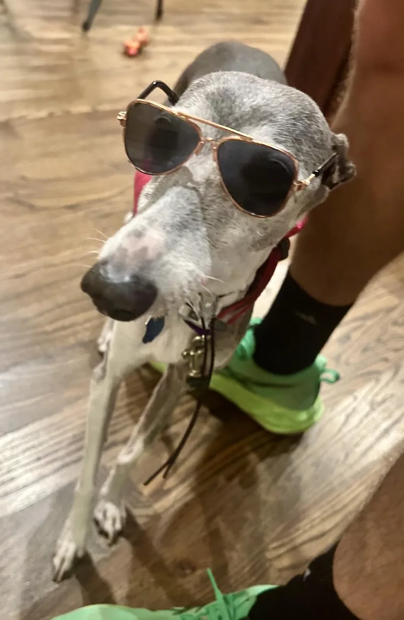 Portia  Houston TX thumbnail 3