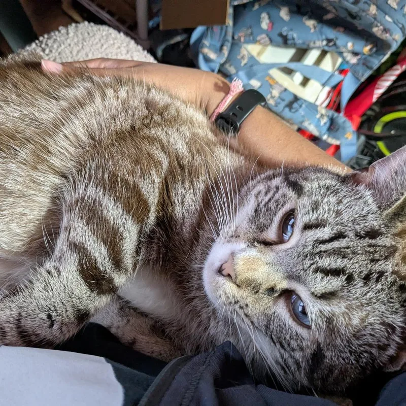 Hugo Boss thumbnail 5