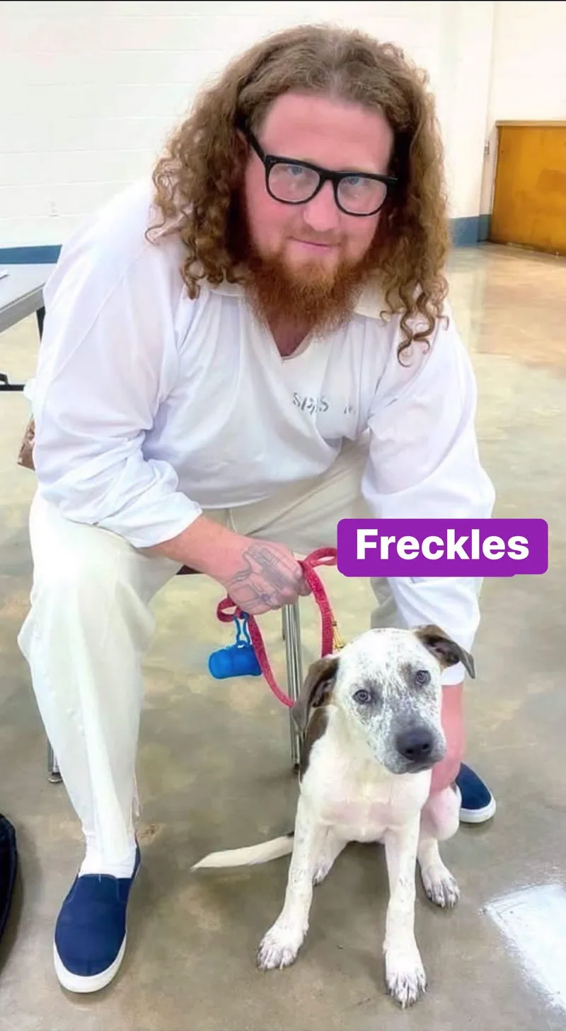 Freckles thumbnail 3