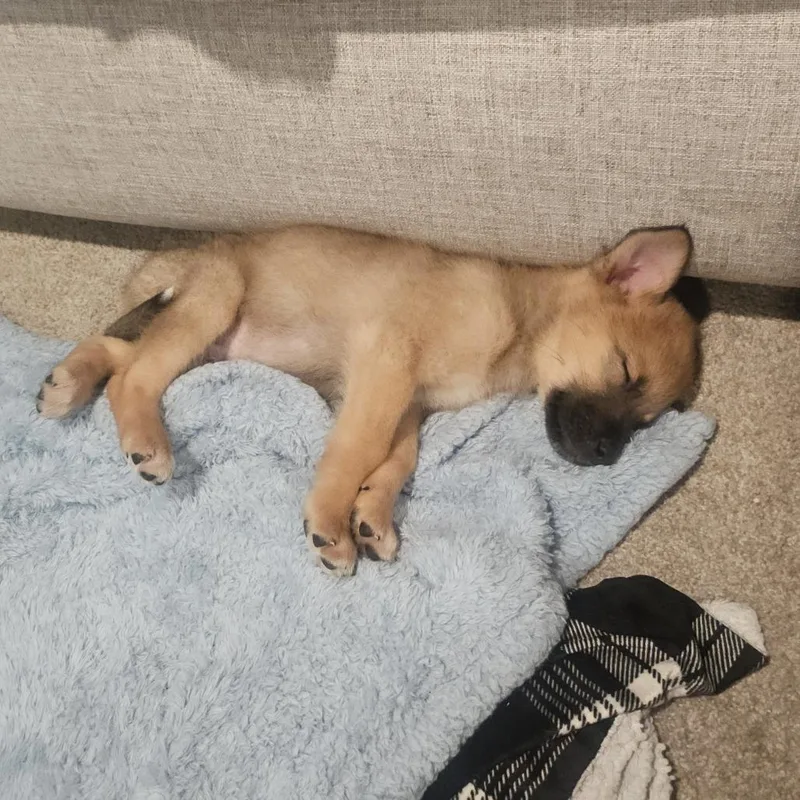 Cymbalta thumbnail 2