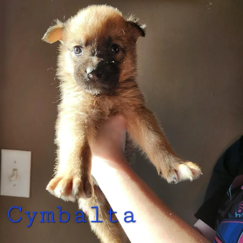 Cymbalta thumbnail 3