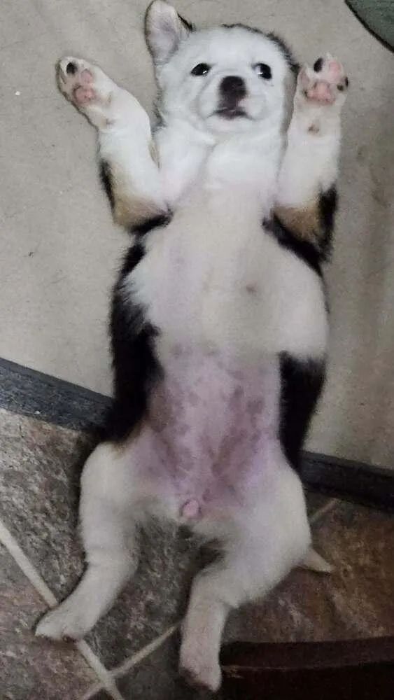 Wednesday thumbnail 2