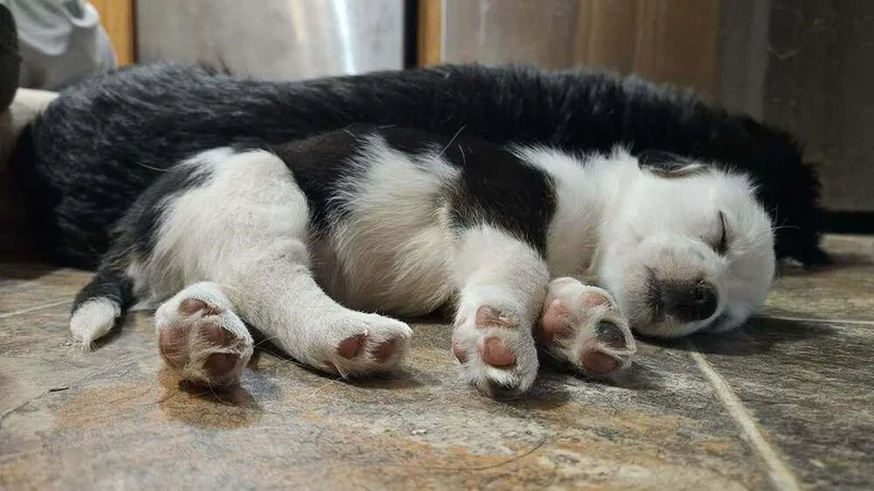 Wednesday thumbnail 3