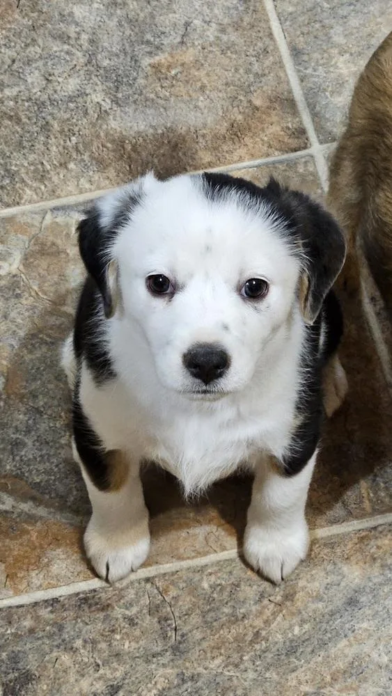 Wednesday thumbnail 4