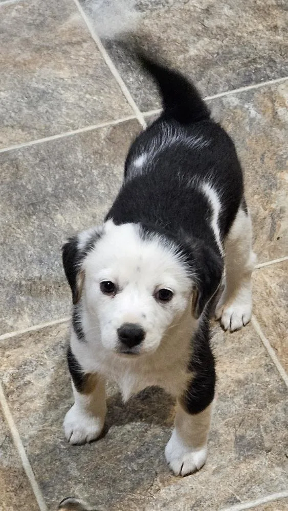 Wednesday thumbnail 5