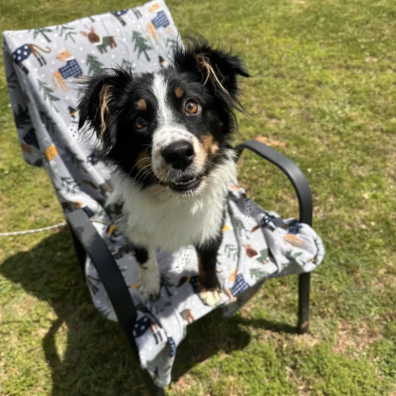 Greta
