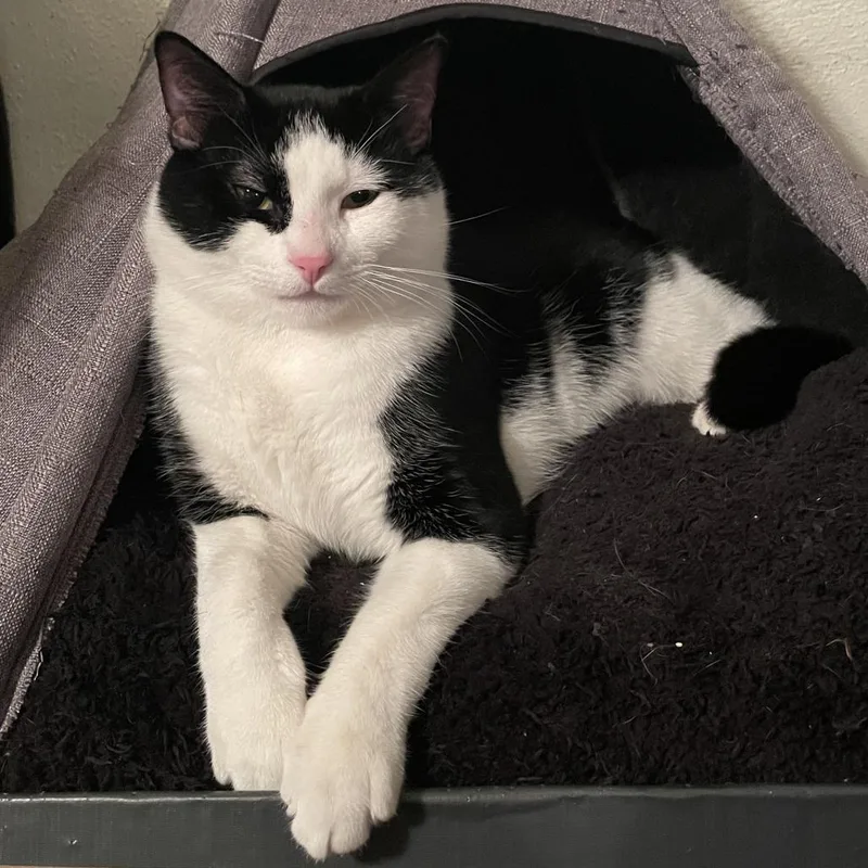 Oswald