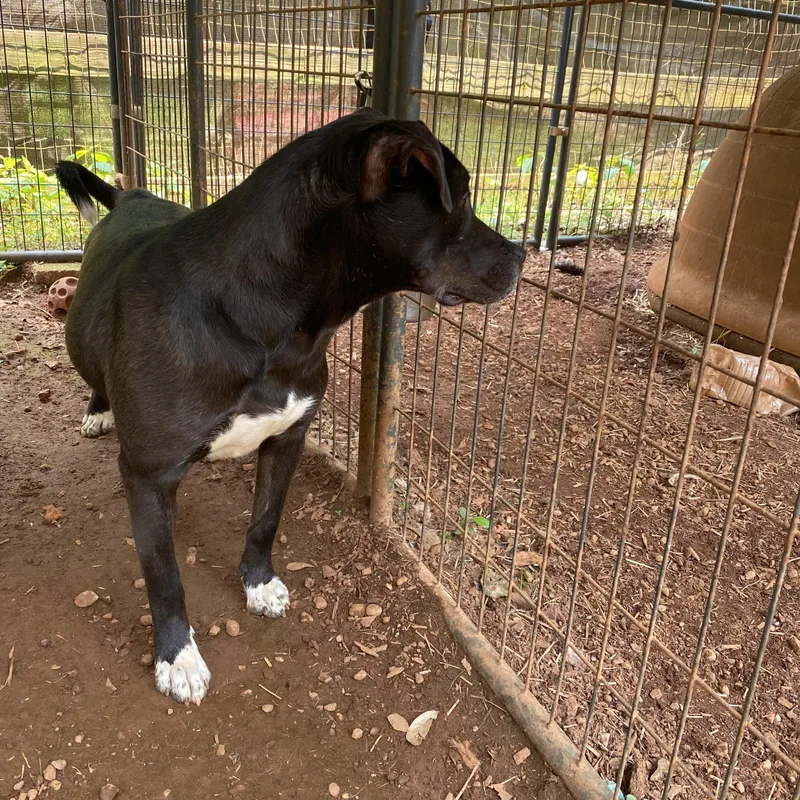 Maisy Daisy thumbnail 3