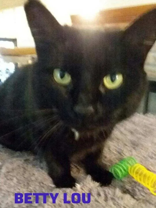 Betty Lou thumbnail 2