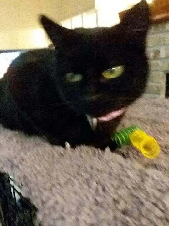 Betty Lou thumbnail 3